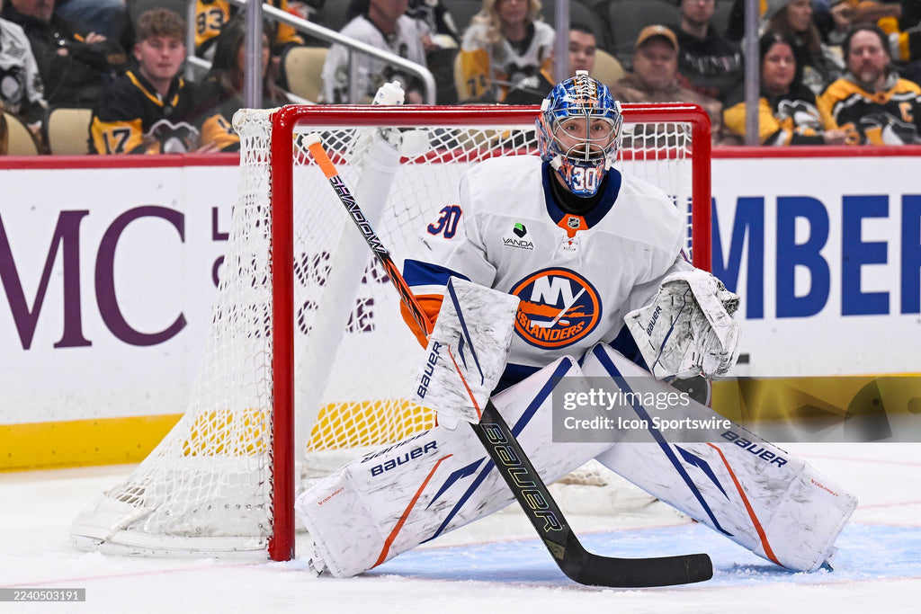 Ilya Sorokin game worn goalie cage photo matched📸 with LOA.