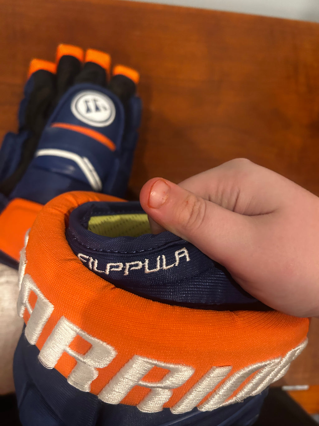 Valtteri Filppula game used gloves
